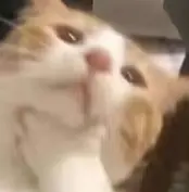 拯救P圖廢柴,阿里上新多模態(tài)模型Qwen-VLo,人人免費(fèi)可玩